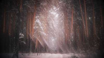 Holiday Visions 5 Still