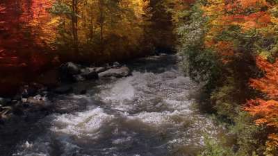 Northwest Fall 2 Still